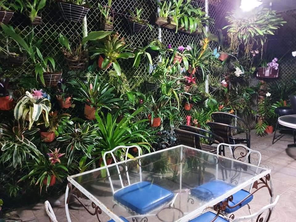 Villa San Antonio - El Valle De Anton Buitenkant foto
